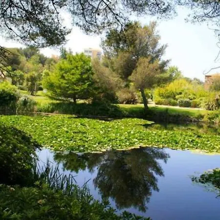 아파트 Studio A Six Fours Les Plages Avec Piscine Partagee Et Jardin Clos A 100 M De La Plage 식스포즈레스플라지스